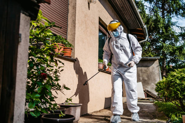 Best Pest Control Near Me in South Waverly, PA