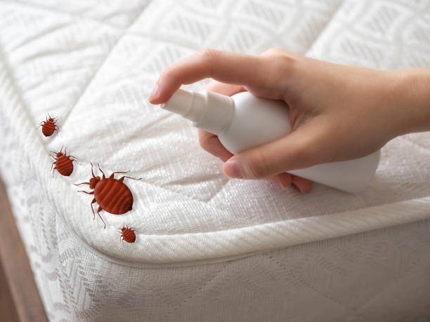 Trusted South Waverly, PA Pest Control Experts