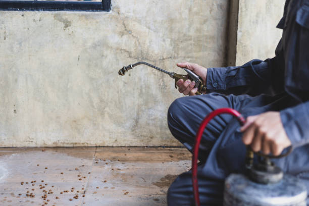 Best Termite Control Services  in South Waverly, PA