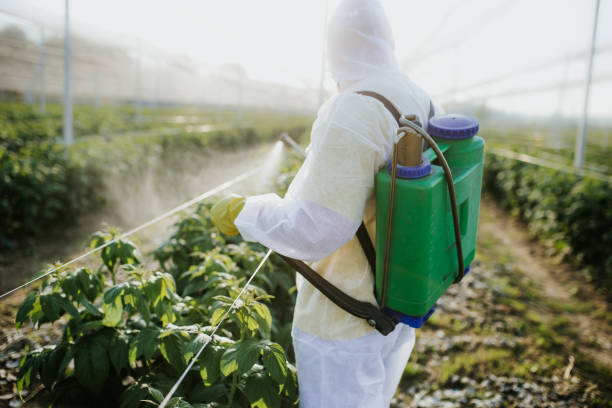 Best Commercial Pest Control Services  in South Waverly, PA